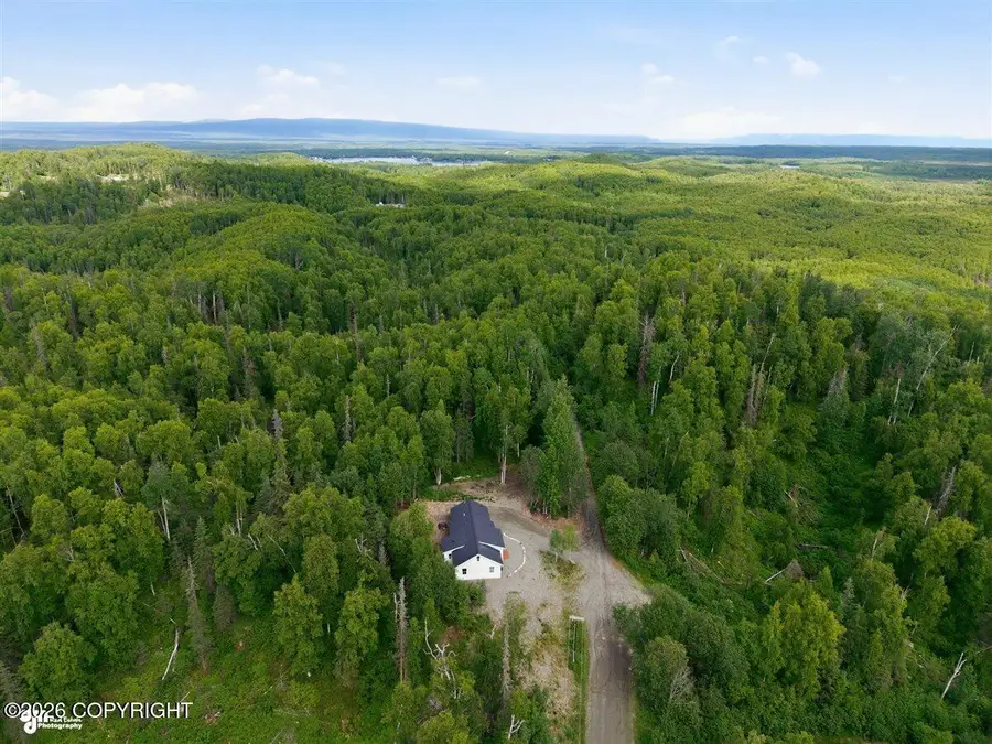 17416 W Marion Drive, Big Lake, AK 99652 - #3