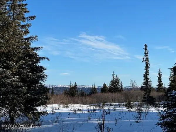 L58 Lowell Street, Ninilchik, AK 99639