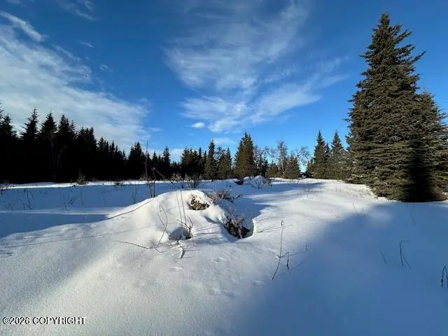 L58 Lowell Street, Ninilchik, AK 99639 - Image #3