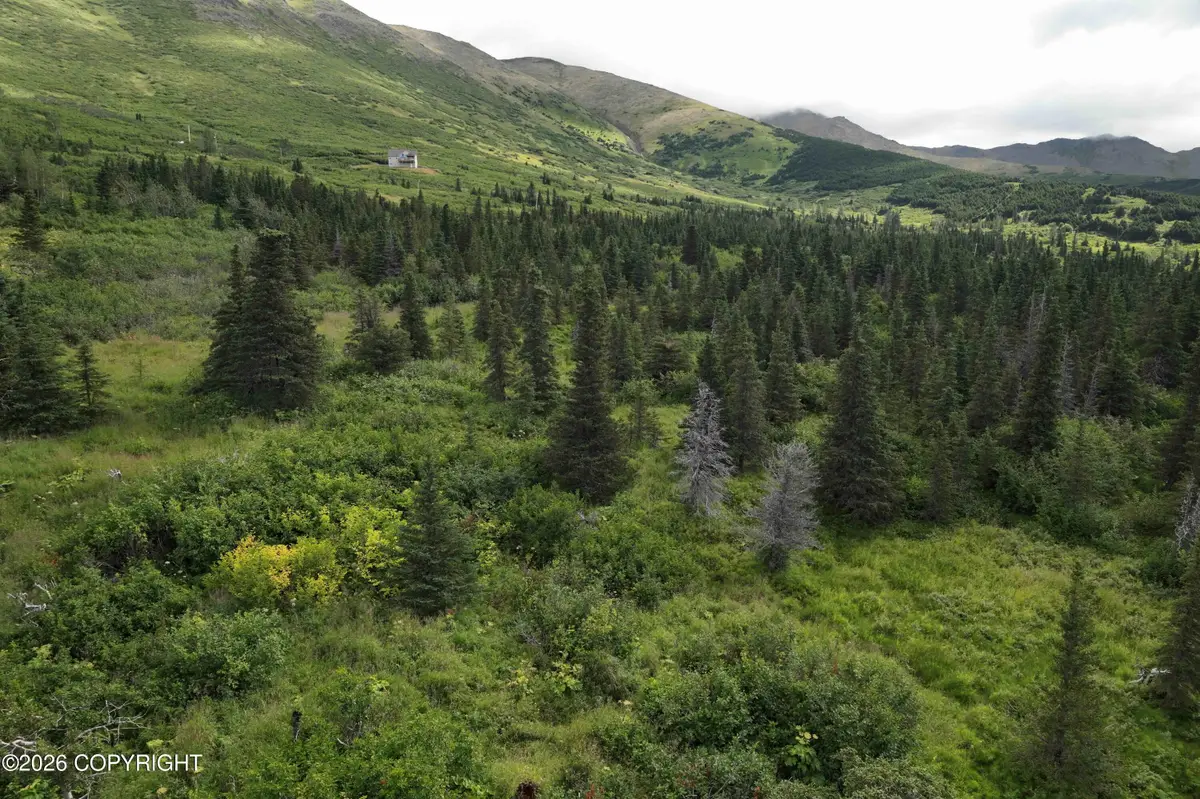 Lot A-1 Mountain Terrace Estates #2 Road, Anchorage, AK 99516 - #1