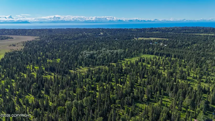000 Walatka Avenue, Ninilchik, AK 99639 - #2