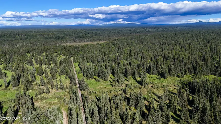 000 Walatka Avenue, Ninilchik, AK 99639 - #3