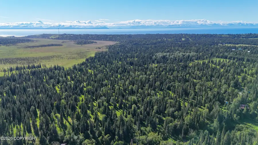 000 Lawrence Avenue, Ninilchik, AK 99639 - #3