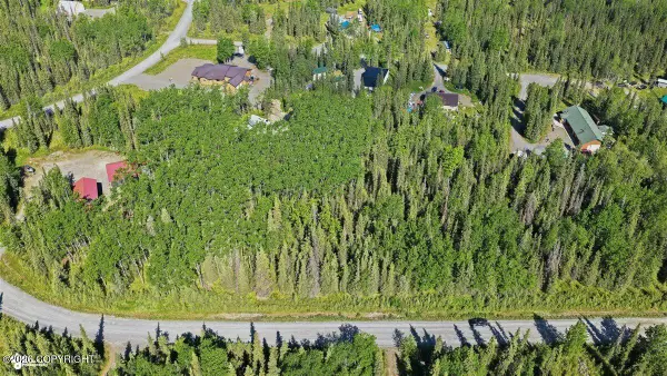 52695 Thalia Lane, Kasilof, AK 99610