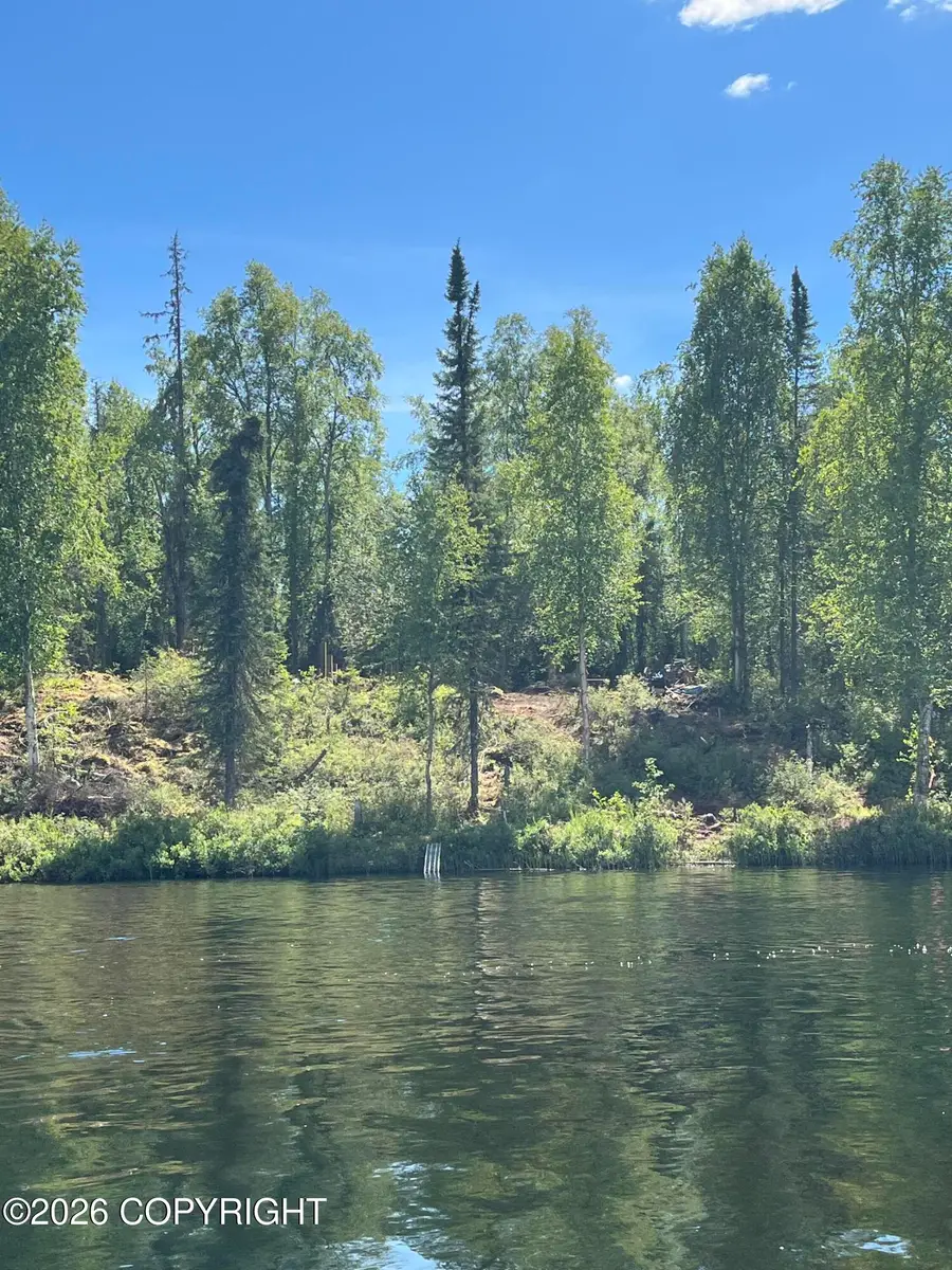 L9 Freundly Island, Big Lake, AK 99652 - #2