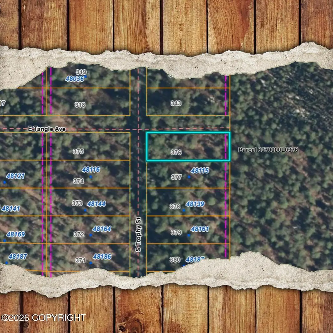 000 S Trophy Street, Willow, AK 99688 - #1