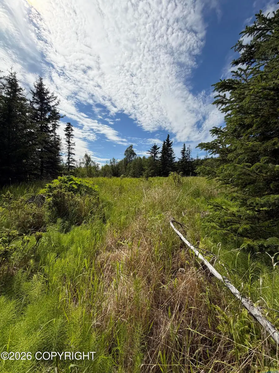 000 Moon Lane, Homer, AK 99603 - #3