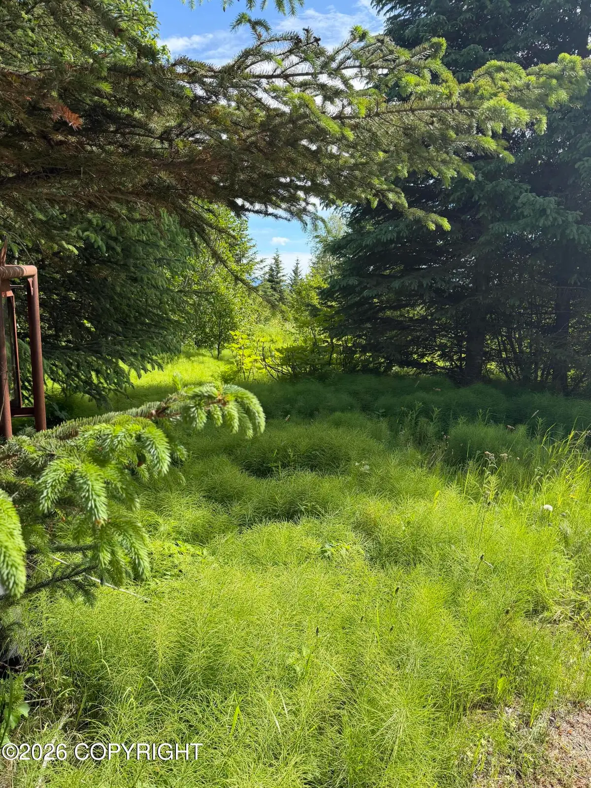 4725 Moon Lane, Homer, AK 99603 - #1