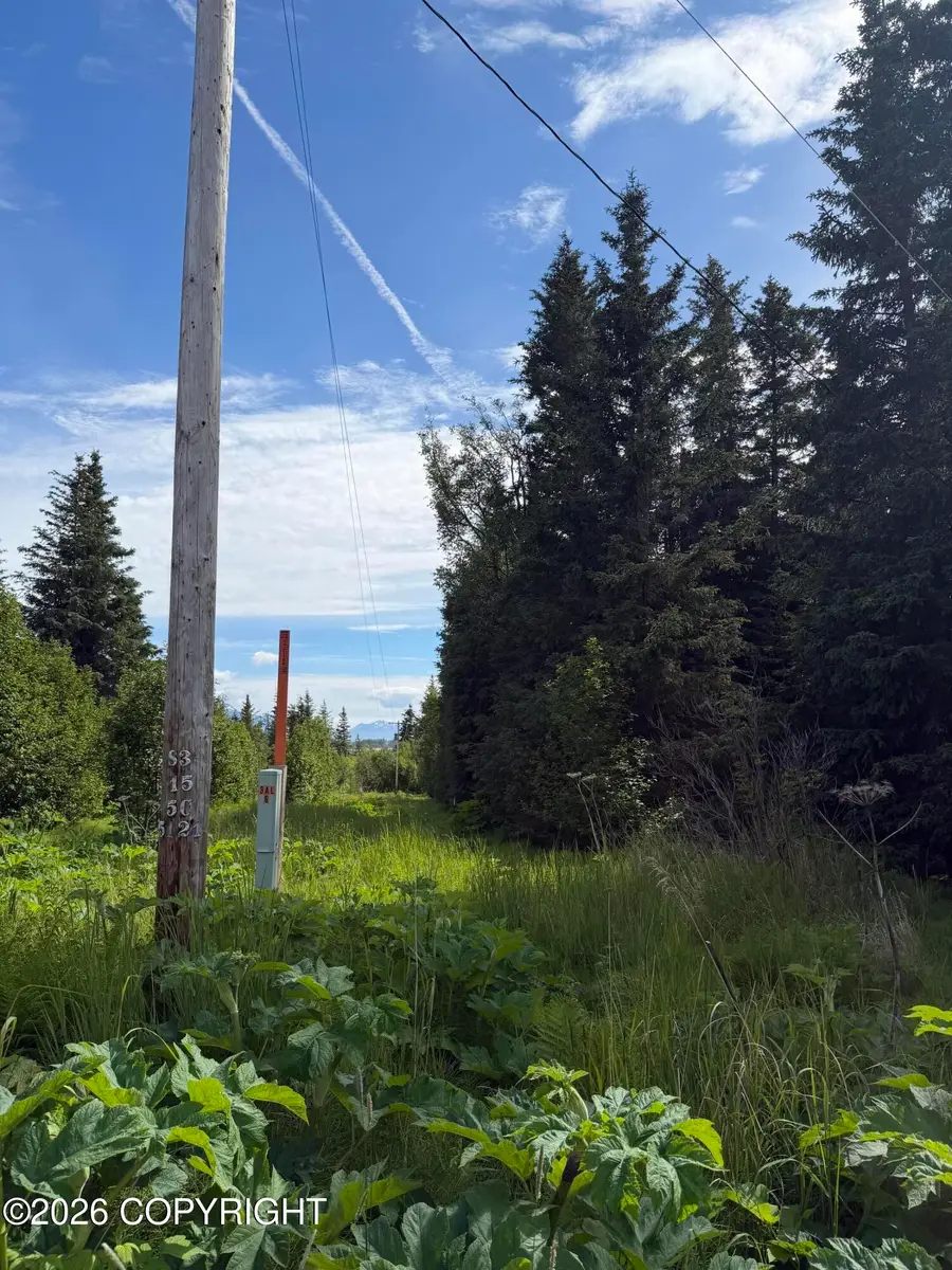 TR 1-2 Moon Lane, Homer, AK 99603 - #2