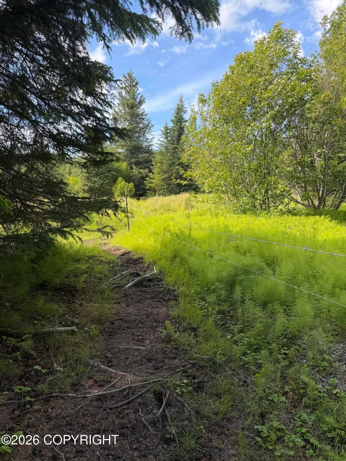 TR 1-3 Moon Lane, Homer, AK 99603 - #1