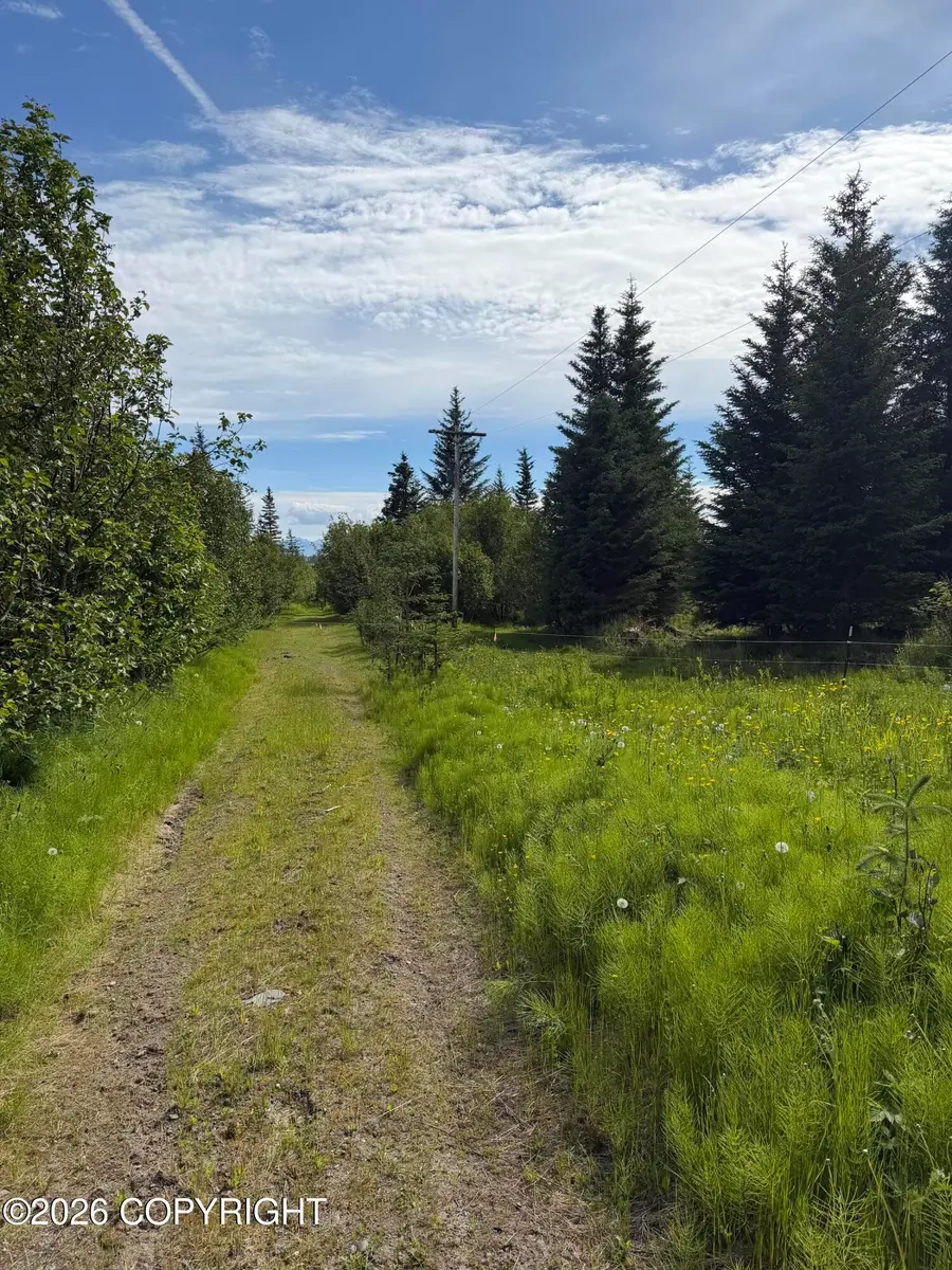 TR 1-3 Moon Lane, Homer, AK 99603 - #2