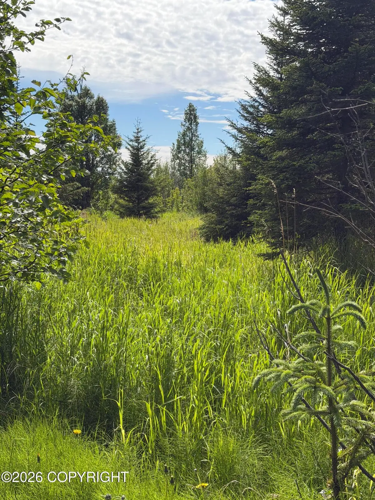 TR 1-4 Moon Lane, Homer, AK 99603 - #1