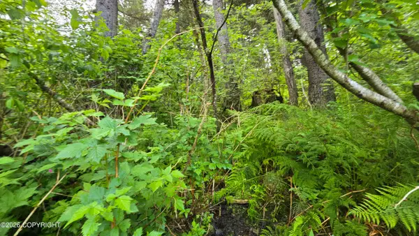 L10 B7 Wizard Avenue, Seward, AK 99664