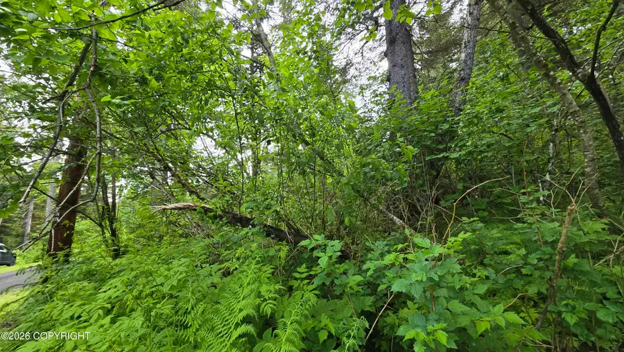 L10 B7 Wizard Avenue, Seward, AK 99664 - #2
