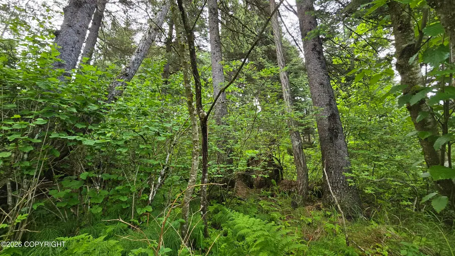 L10 B7 Wizard Avenue, Seward, AK 99664 - #3