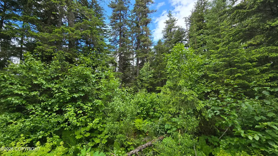 L13 B7 Merlin Drive, Seward, AK 99664 - #3