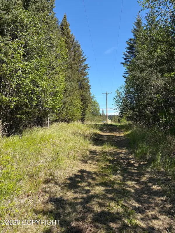 L3A Virginia Avenue, Homer, AK 99603