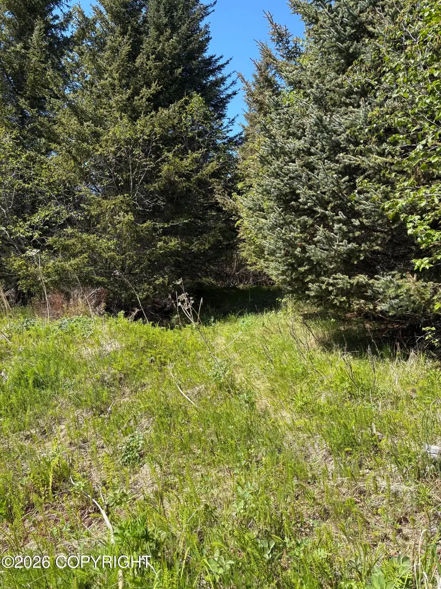 L3A Virginia Avenue, Homer, AK 99603 - #2