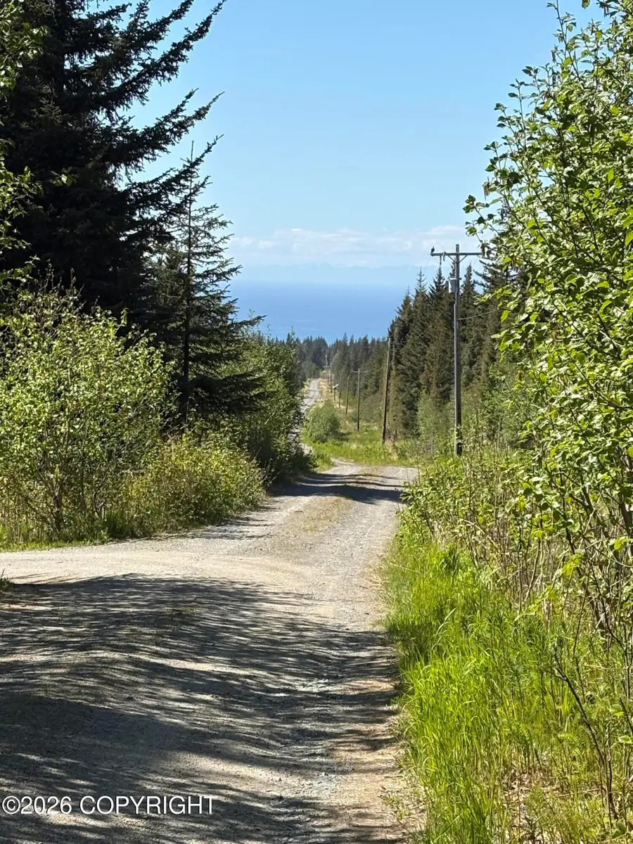 L3A Virginia Avenue, Homer, AK 99603 - #3