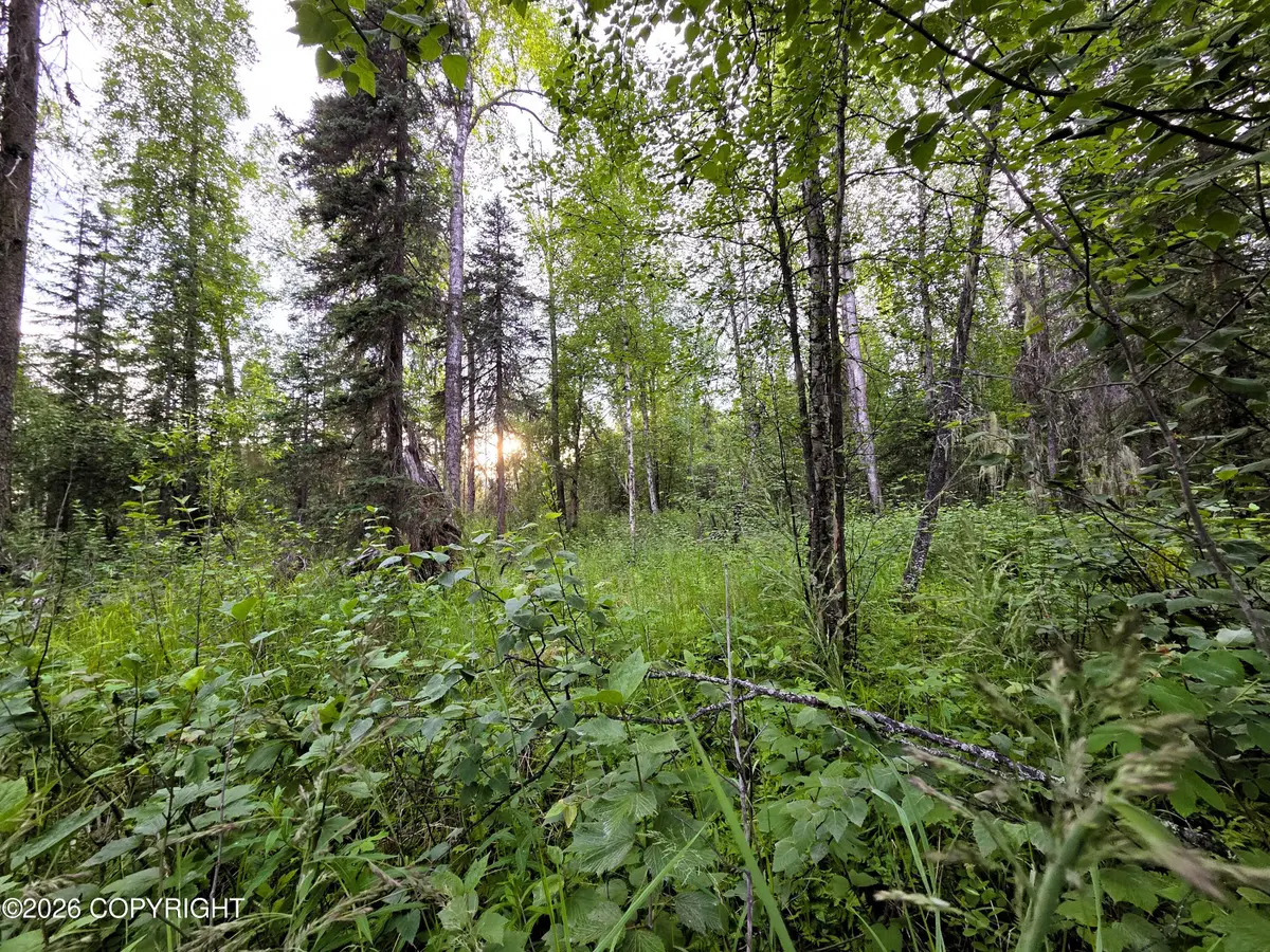 14403 E Lichtenwalner Road, Talkeetna, AK 99676 - #1