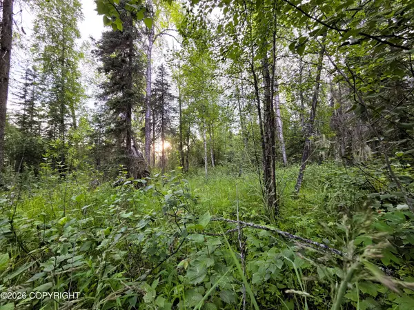 14403 E Lichtenwalner Road, Talkeetna, AK 99676