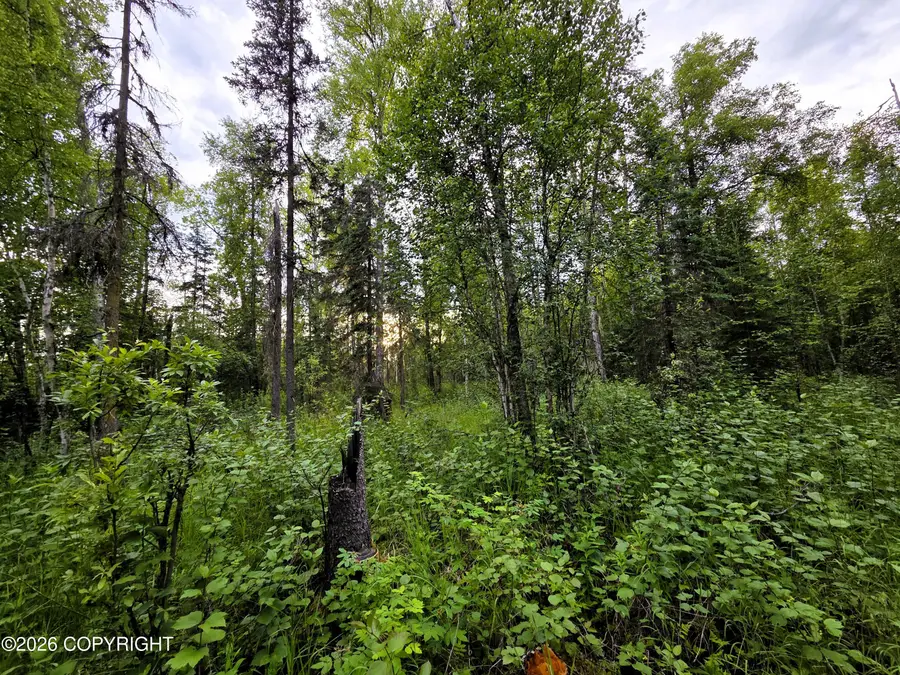 14403 E Lichtenwalner Road, Talkeetna, AK 99676 - #3