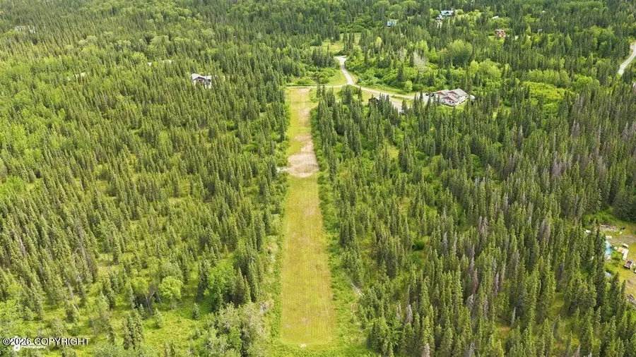 20969 Tustumena Lake Road, Kasilof, AK 99610 - #3