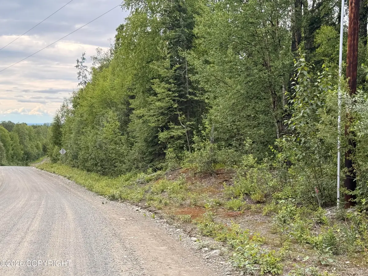 21501 E Caswell Lakes Road, Willow, AK 99688 - #1