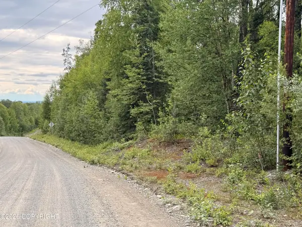 21501 E Caswell Lakes Road, Willow, AK 99688