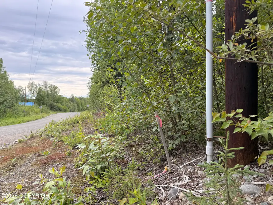 21501 E Caswell Lakes Road, Willow, AK 99688 - #3