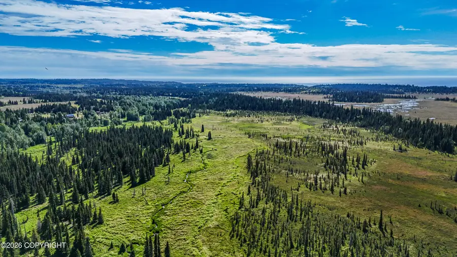 000 North Fork Anchor River, Anchor Point, AK 99556 - #2