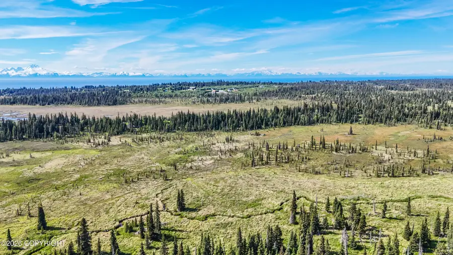 000 North Fork Anchor River, Anchor Point, AK 99556 - #3