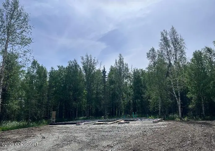 L10 B5 E Boar Avenue, Wasilla, AK 99654 - #3