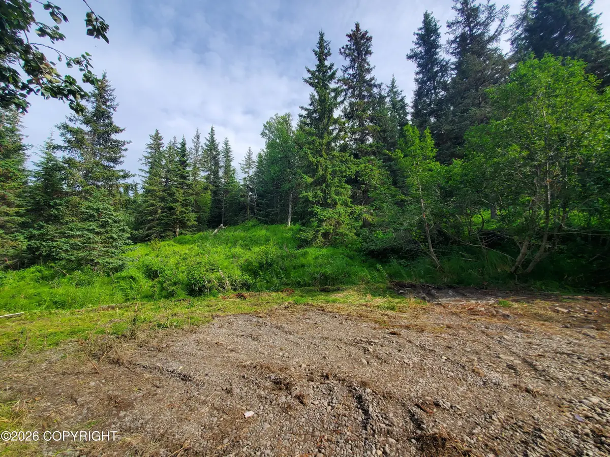 73470 Ann Court, Anchor Point, AK 99556 - #1