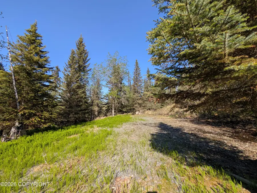 73470 Ann Court, Anchor Point, AK 99556 - #3