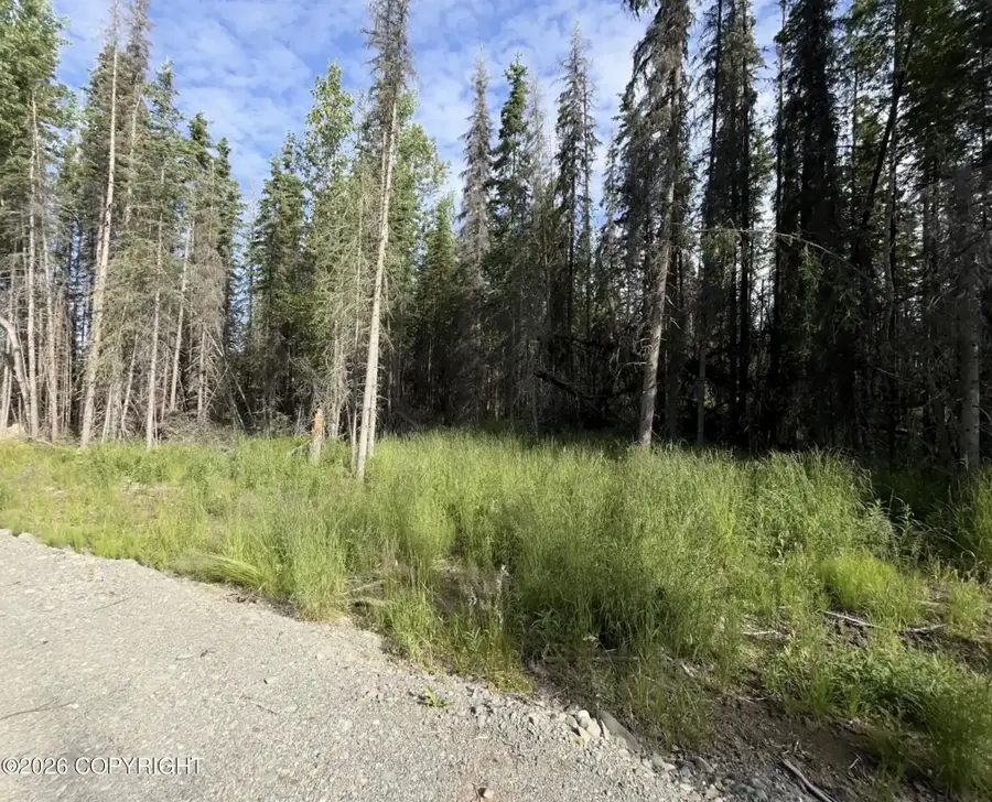 39606 Valley View Road, Sterling, AK 99672 - #2