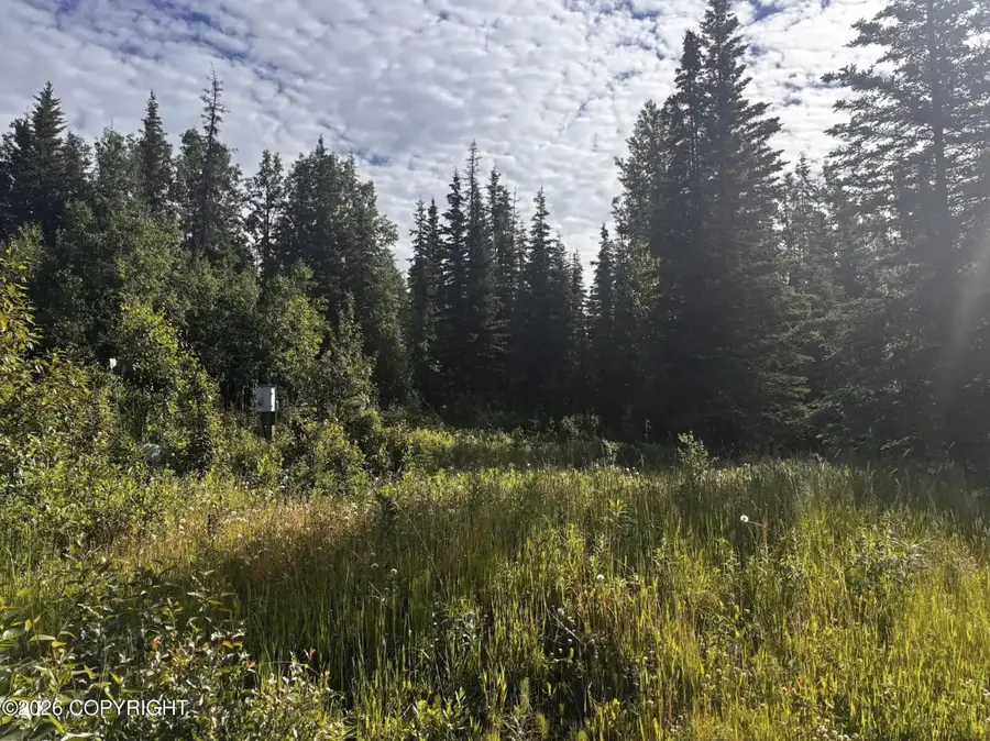 39606 Valley View Road, Sterling, AK 99672 - #3
