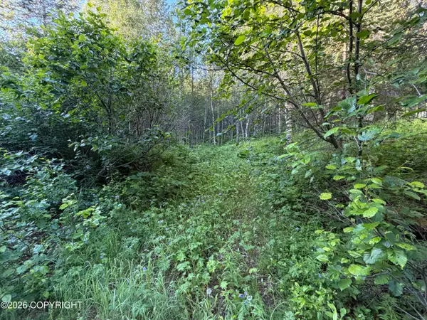 L10 B2 Sunstone Street, Nikiski/North Kenai, AK 99635