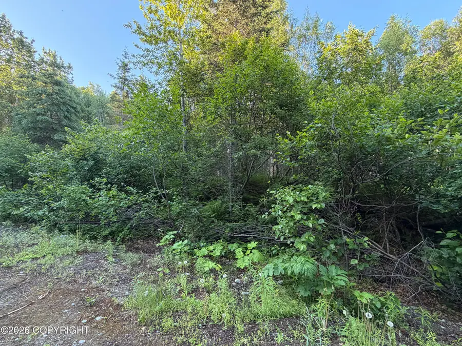 L10 B2 Sunstone Street, Nikiski, AK 99635 - #3
