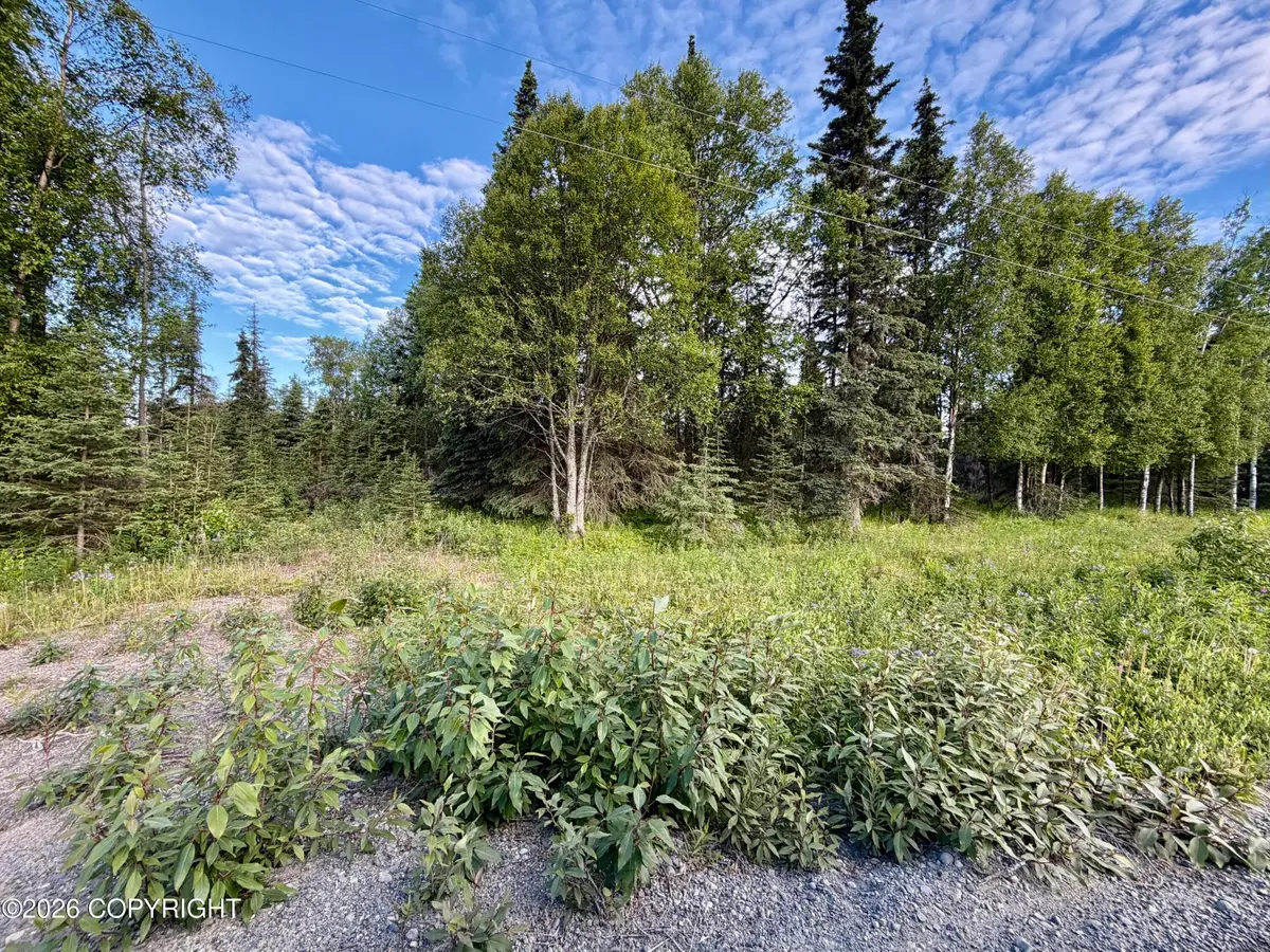 45865 Dividend Street, Kenai, AK 99611 - #1