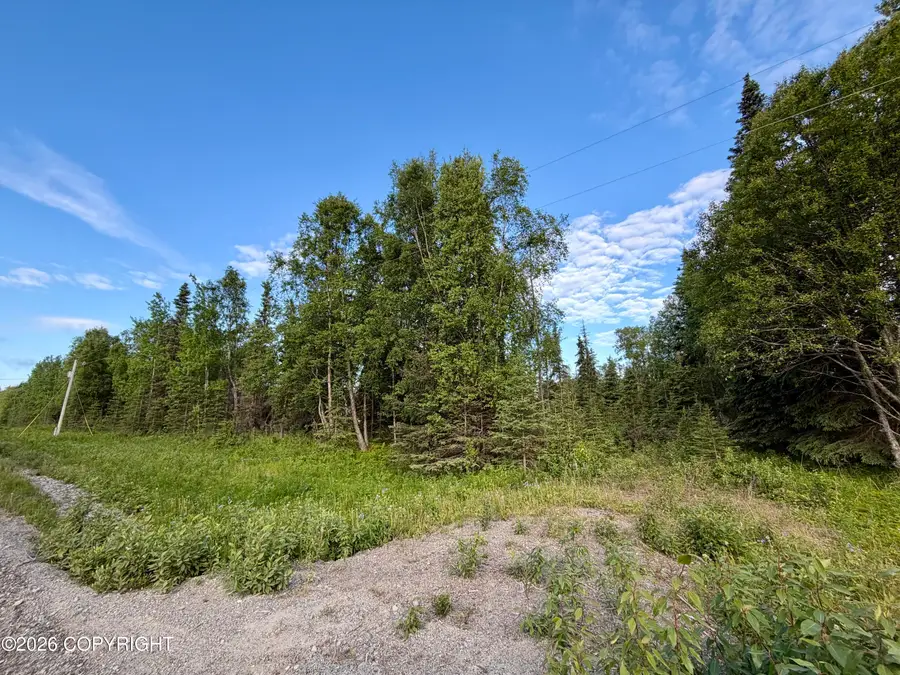 45865 Dividend Street, Kenai, AK 99611 - #2