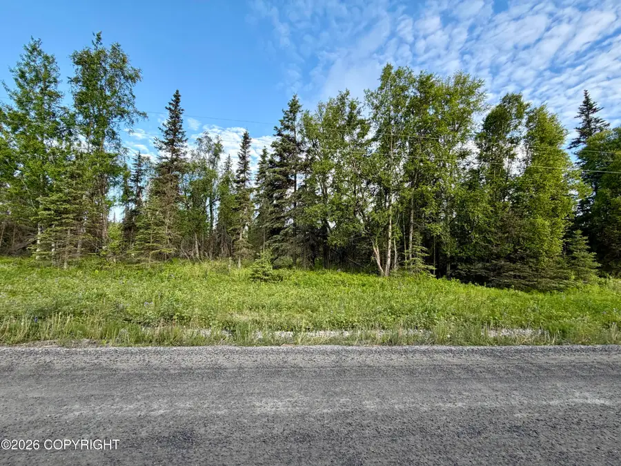 45865 Dividend Street, Kenai, AK 99611 - #3