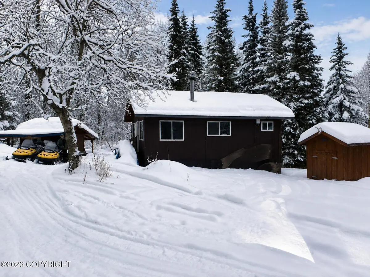 Tr C-2 Mount Susitna, Susitna, AK 99688 - #1