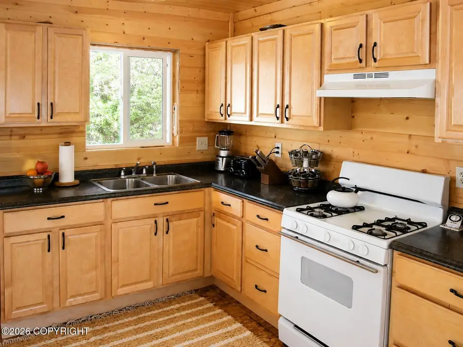 Tr C-2 Mount Susitna, Susitna, AK 99688 - #3