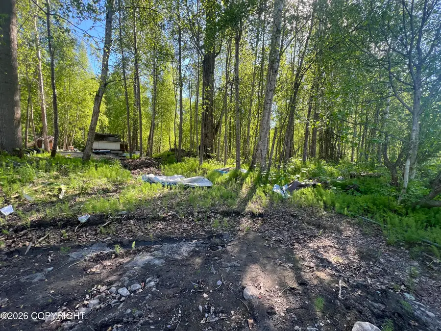 L43 T15nr01ws04, Chugiak, AK 99567 - #3