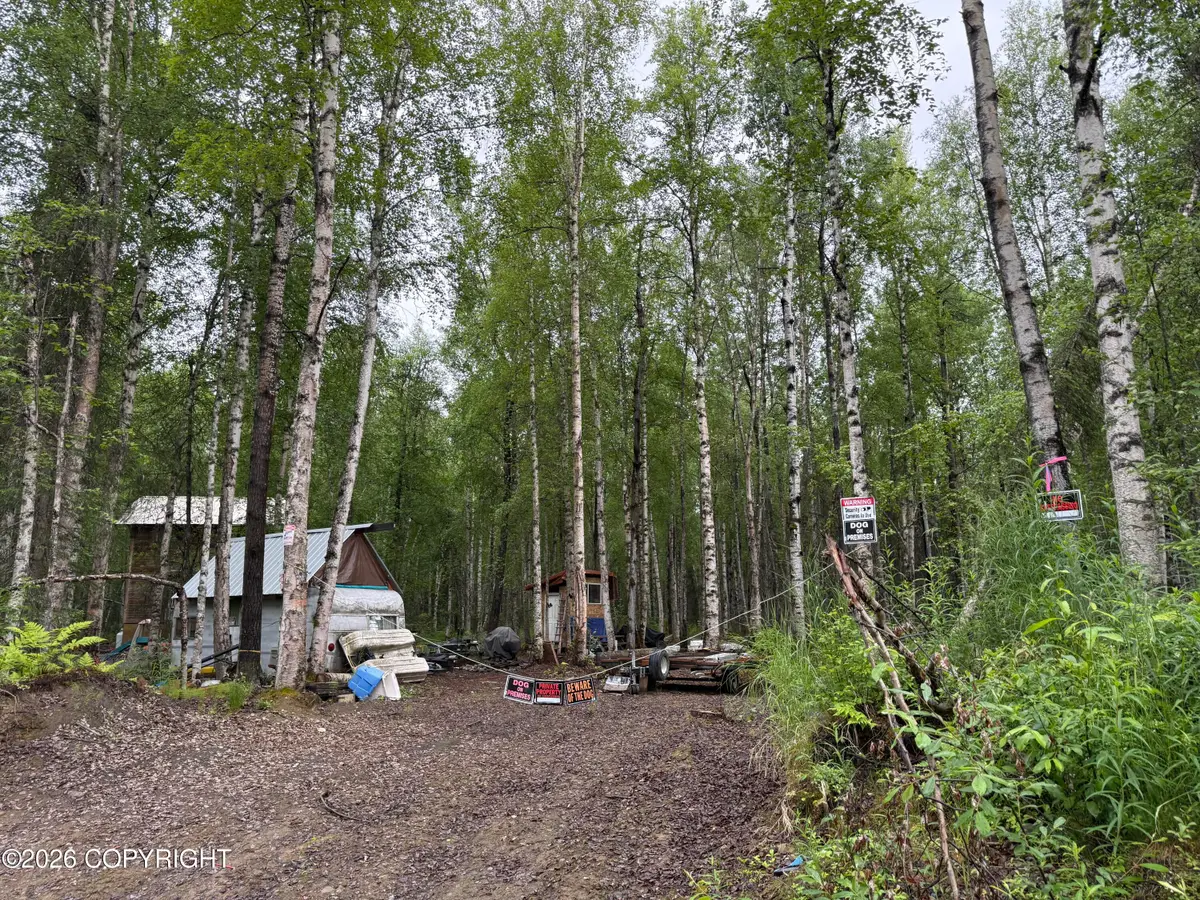 19188 E Bigone Avenue, Willow, AK 99688 - #1