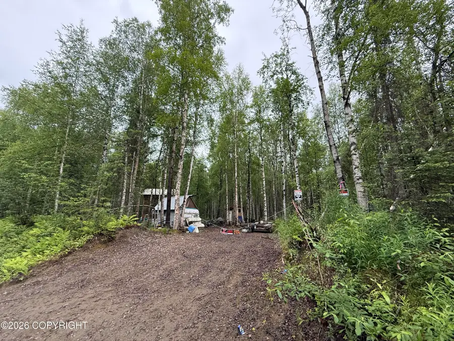 19188 E Bigone Avenue, Willow, AK 99688 - #3