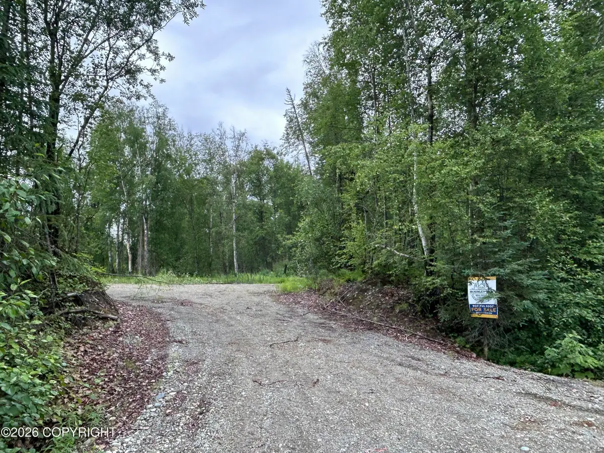 32906 S Mount Brooks Drive, Talkeetna, AK 99676 - #1