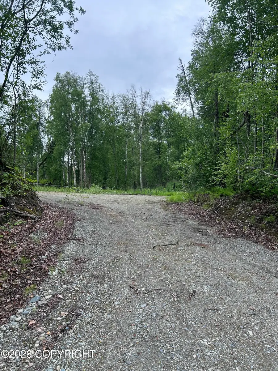 32906 S Mount Brooks Drive, Talkeetna, AK 99676 - #2