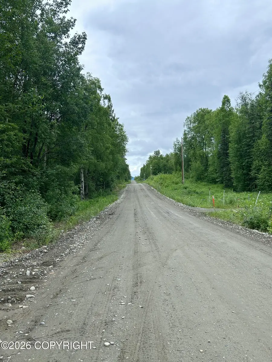 32906 S Mount Brooks Drive, Talkeetna, AK 99676 - #3